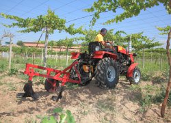 Processes, Machinery and Equipment of Agroindustrial Production